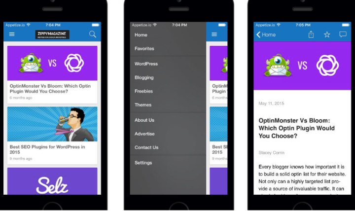 Click 'See Live Preview' to test out your app.