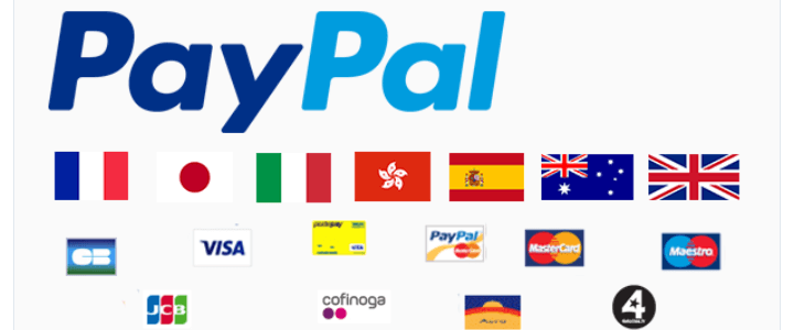 WordPress Ecommerce PayPal Pro Hosted Solution for WooCommerce