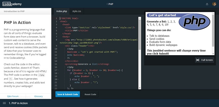 Code Academy Interface