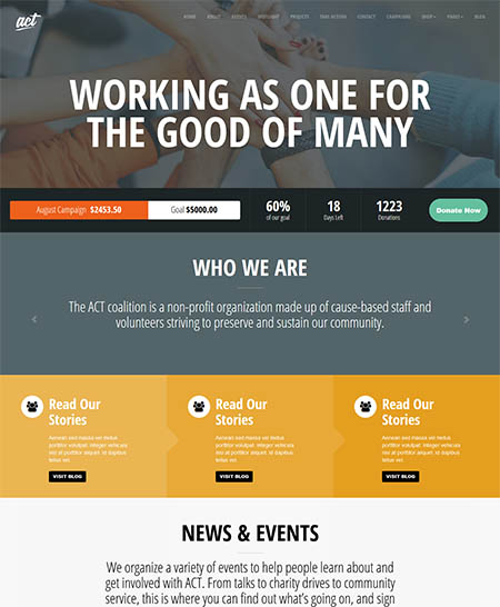 act wordpress theme