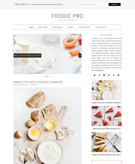 foodie pro wordpress theme