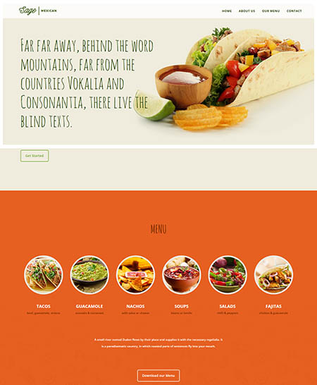 sage wordpress theme