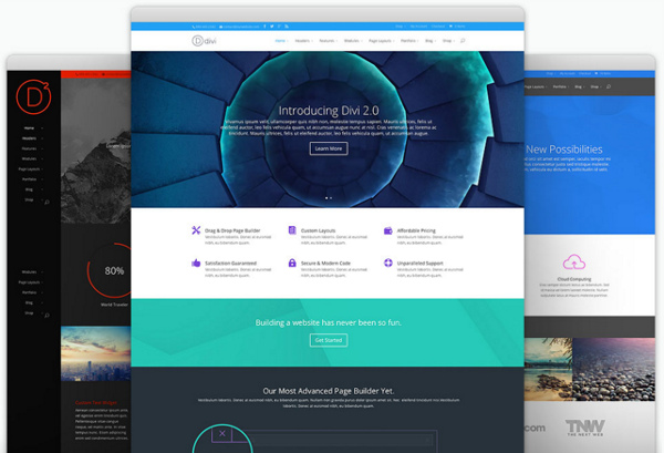 Wordpress-DiviTheme