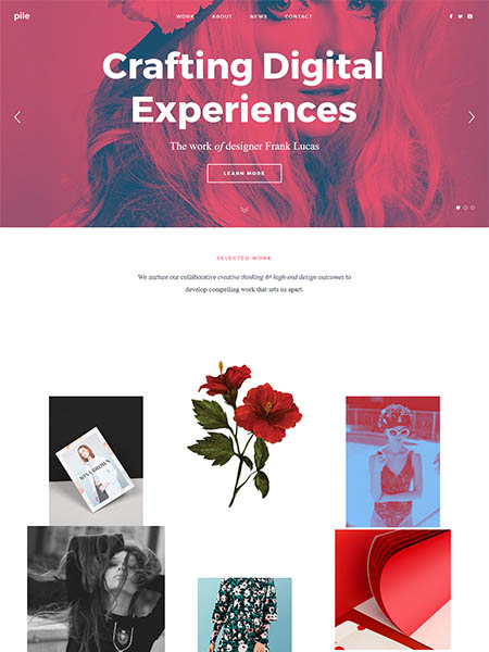 portfolio wordpress themes