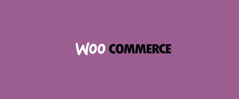 26 Beautiful eCommerce Websites Running on WooCommerce Plugin (2022)