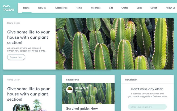 cactaceae ui mockup