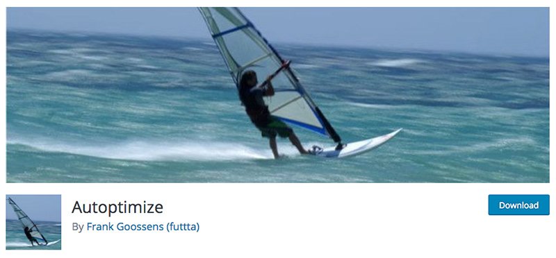 The Autoptimize plugin