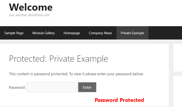 example of password protected post