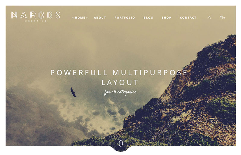 Narcos WordPress themes for writers