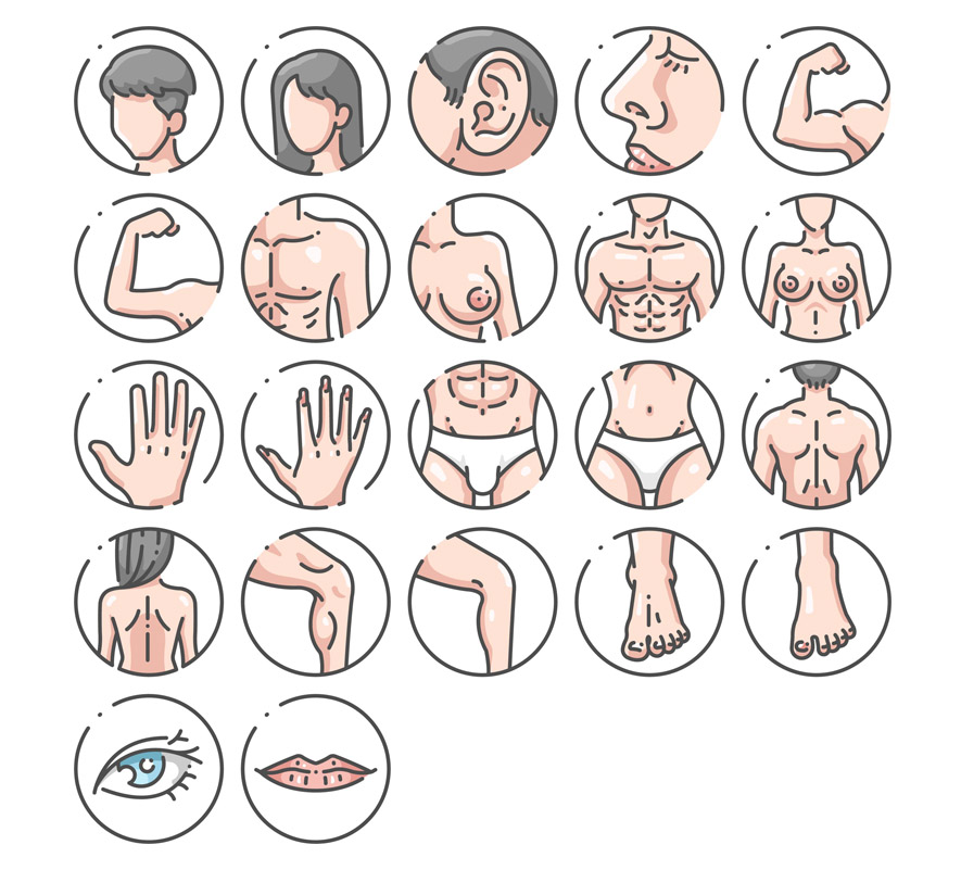 free human body icon set