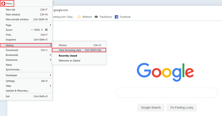 clear browser history in opera