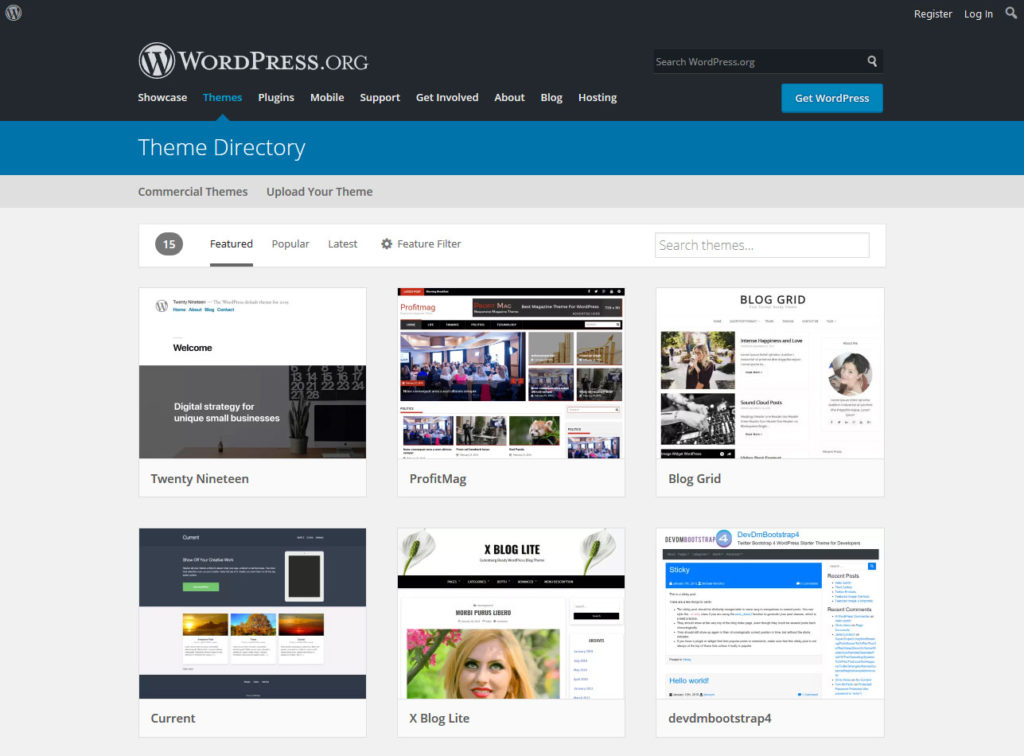 wordpress themes as example for software development