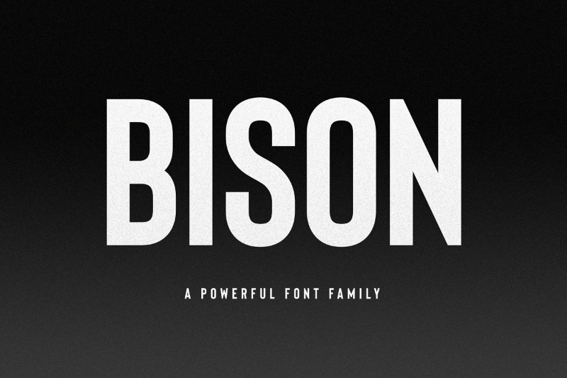 Bison font