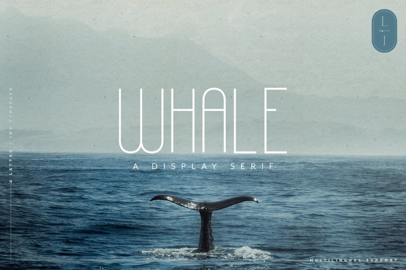 Whale font