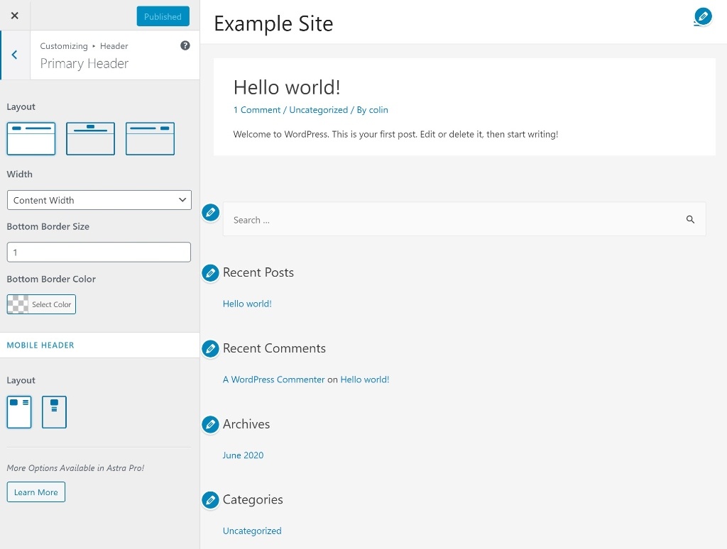 The WordPress Customizer