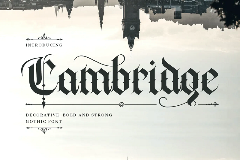 31 Best Blackletter Fonts For 2025