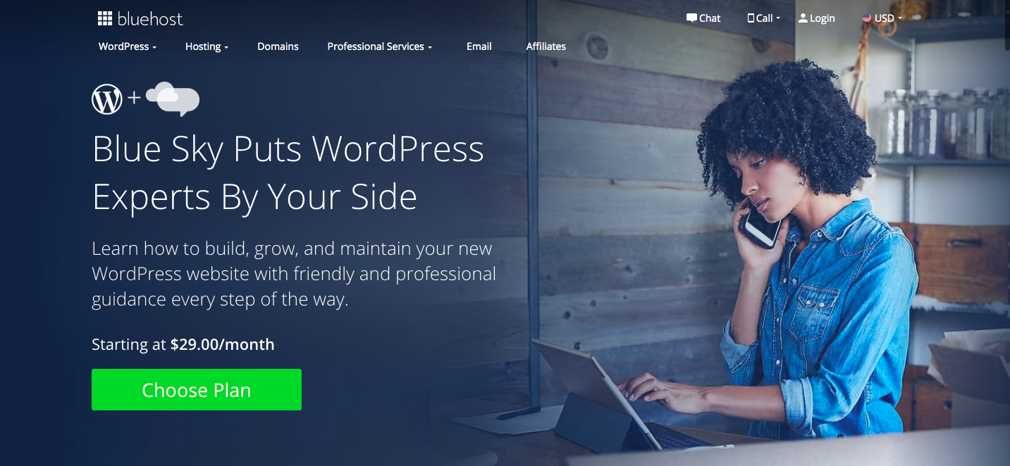 Bluehost Blue Sky WordPress support