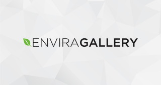 Envira Gallery Coupon Code!