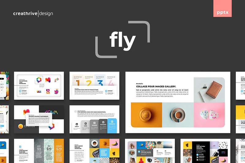 Fly powerpoint templates