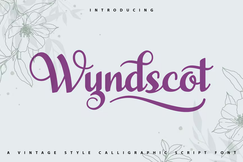 Wyndscot vintage calligraphy font