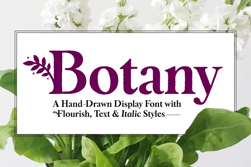 Botany floral font