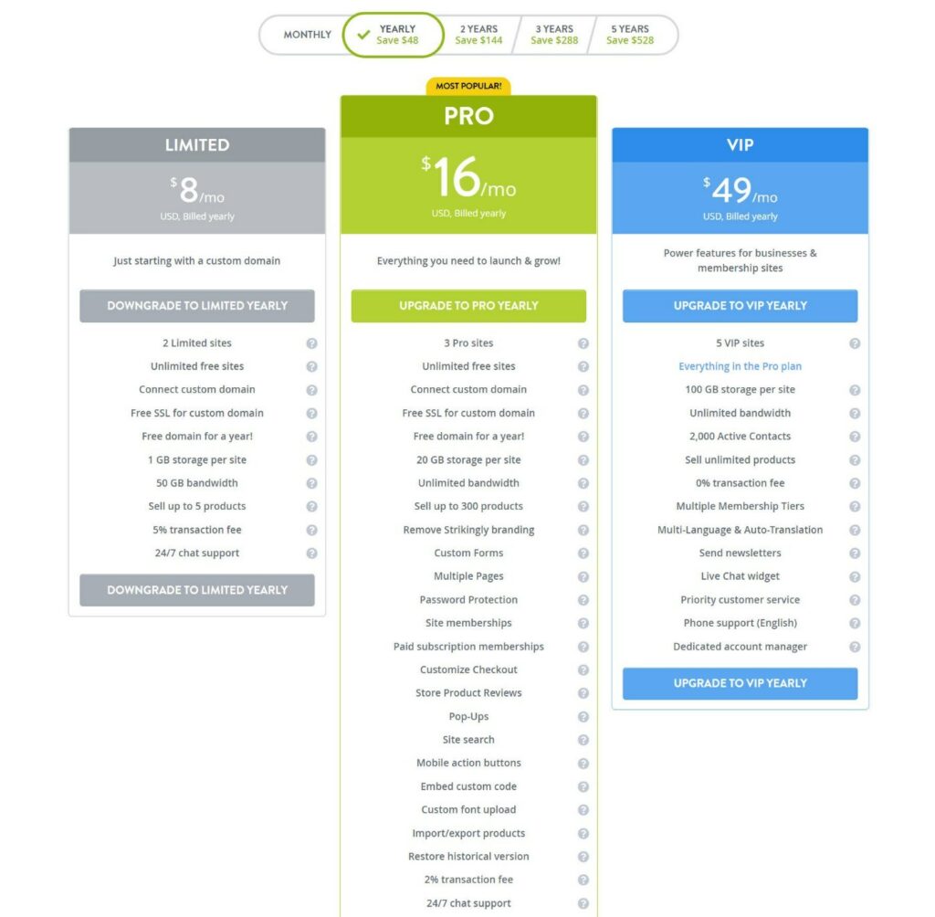 Strikingly pricing review