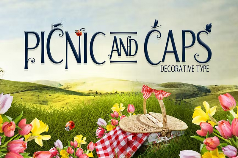 Picnic and Caps