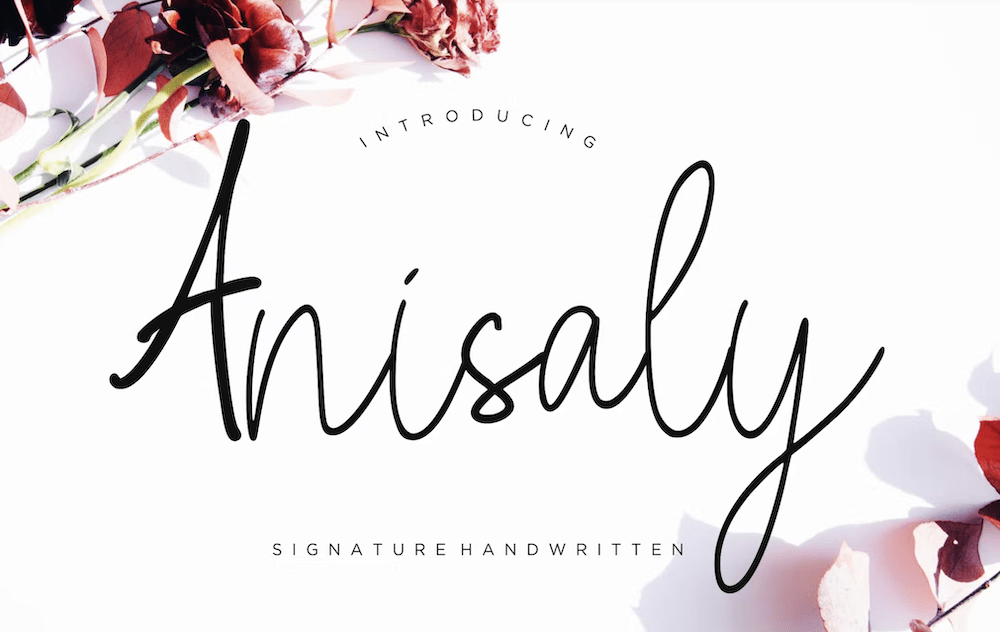 The Anisaly font.